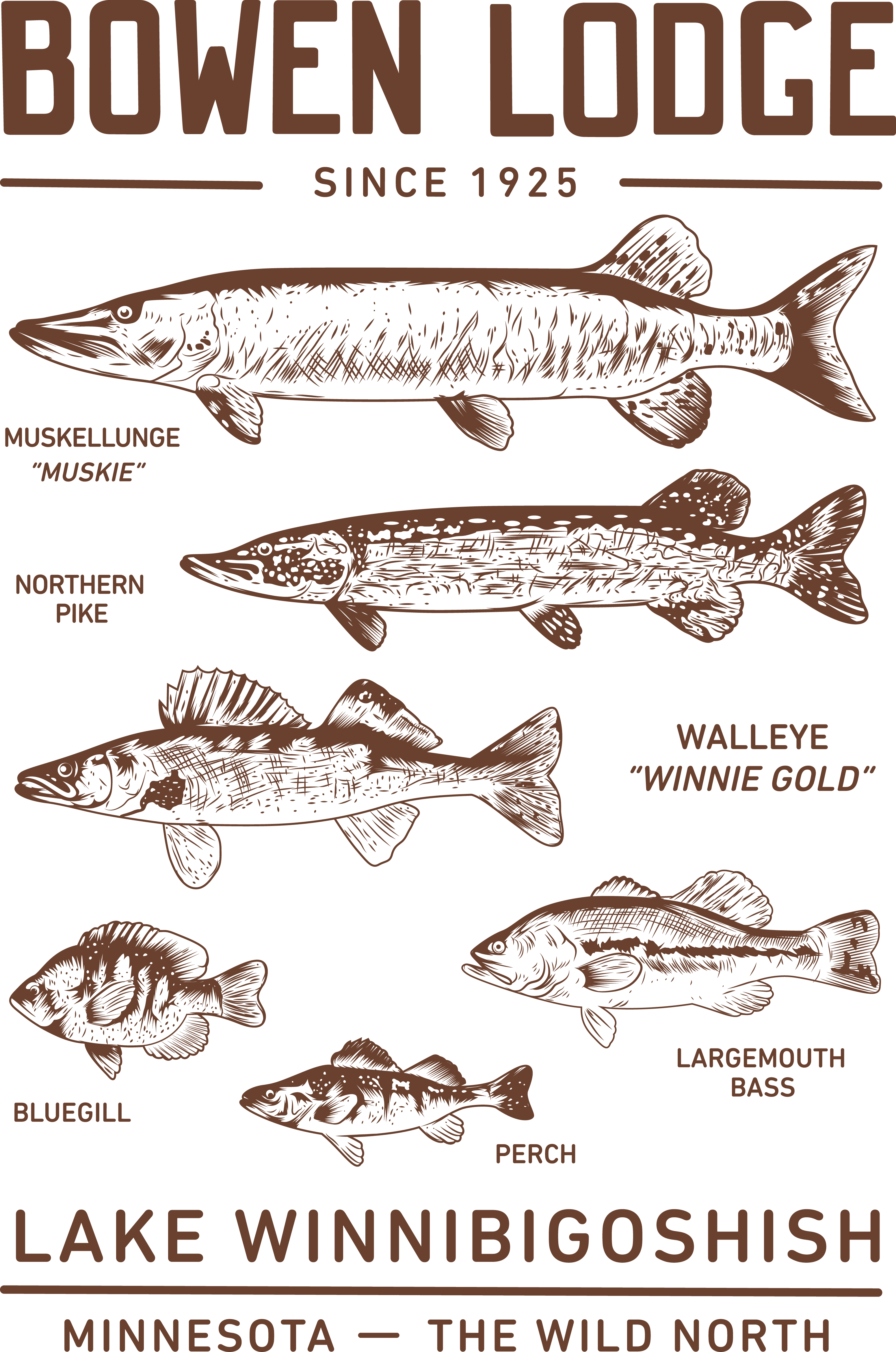 Vector Artwork